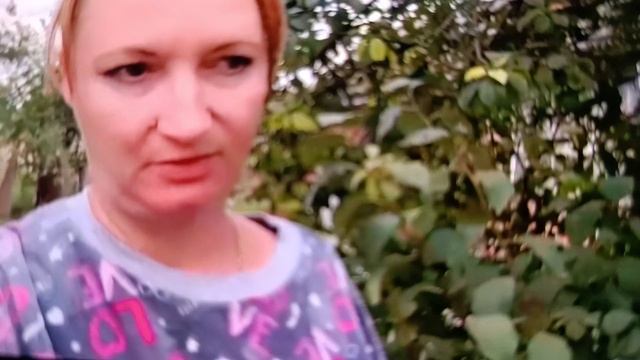 Беззубая злая, что Миша её бросил.
