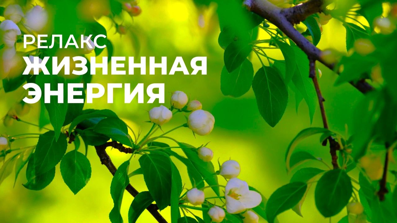 Жизненная энергия. RELAX версия | Саблиминал