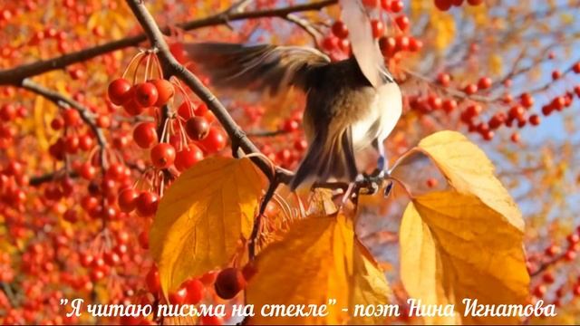 ПЕСНИ О ЛЮБВИ, О РОДИНЕ, О МАМЕ - АВТОР-ИСПОНИТЕЛЬ НИНА ИГНАТОВА