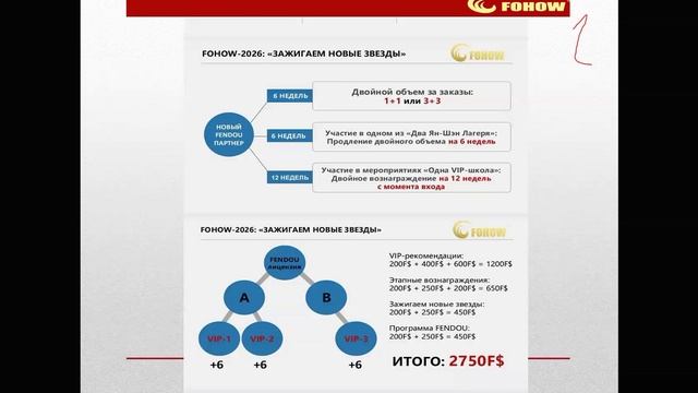 Маркетинг Fohow