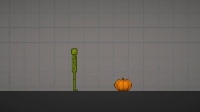 Sakadung Pumpkin 1