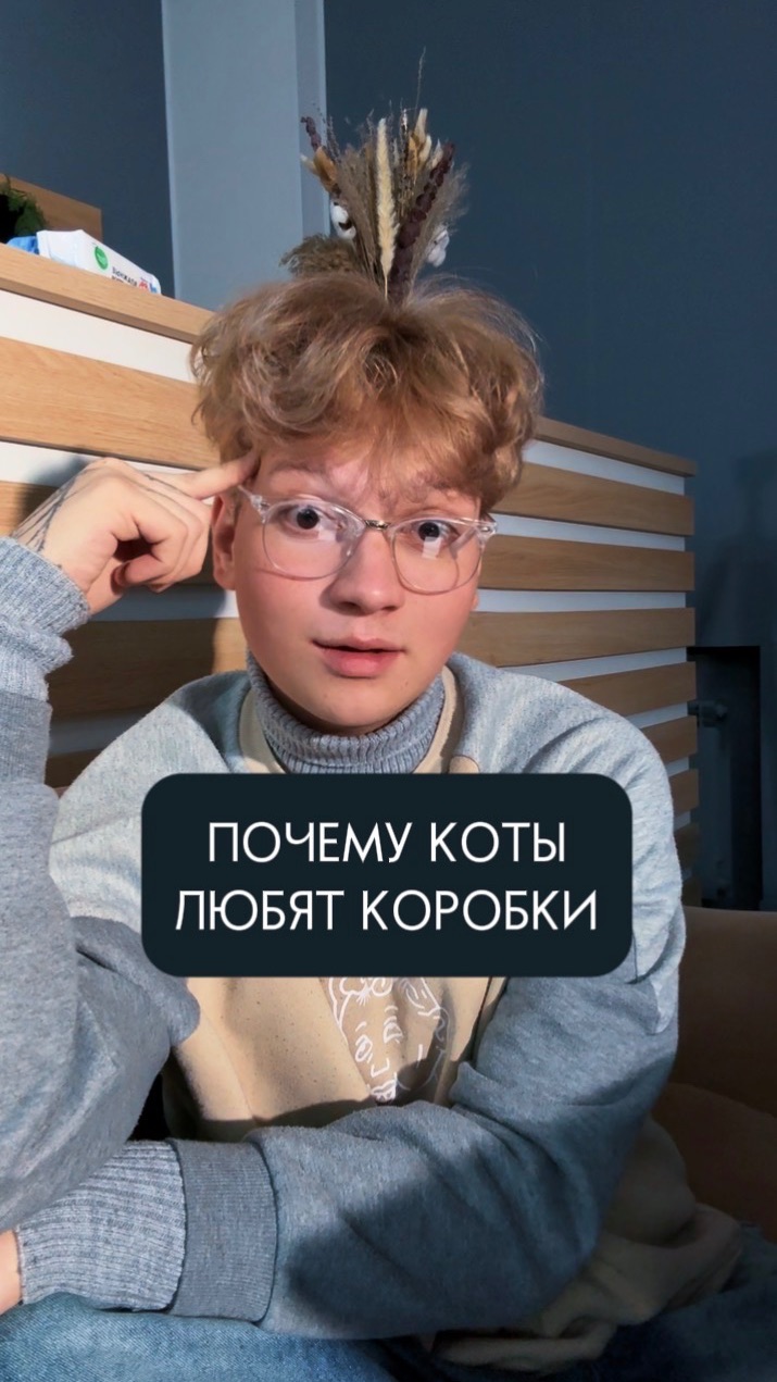 ПОЧЕМУ КОТЫ ЛЮБЯТ КОРОБКИ