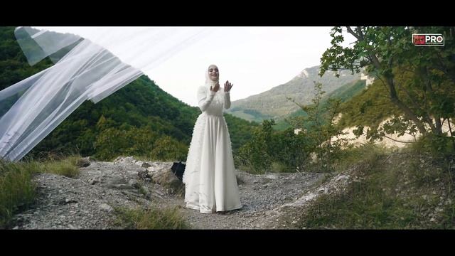 Клипы и концерты