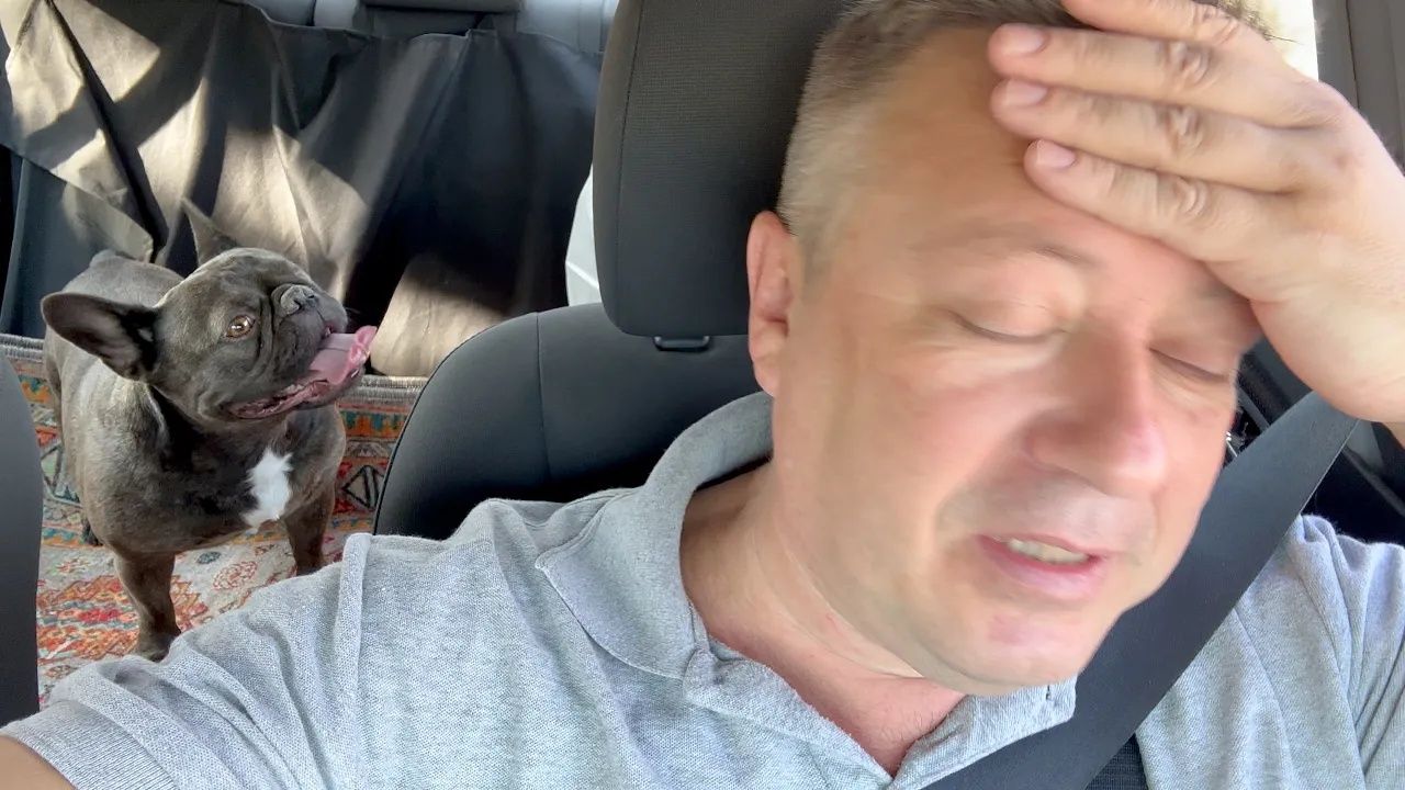 Жизнь вне орхидей. с утра я как ЗОЛУШКА с голубыми глазами переделал КУЧУ дел чтобы с МАСЕЙ смыться