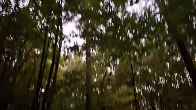 всё я ваша новая Даша  путешественница но только я Кира