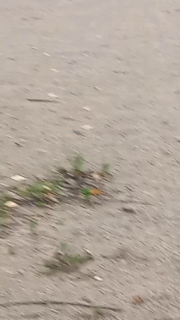 маньяк ⚠