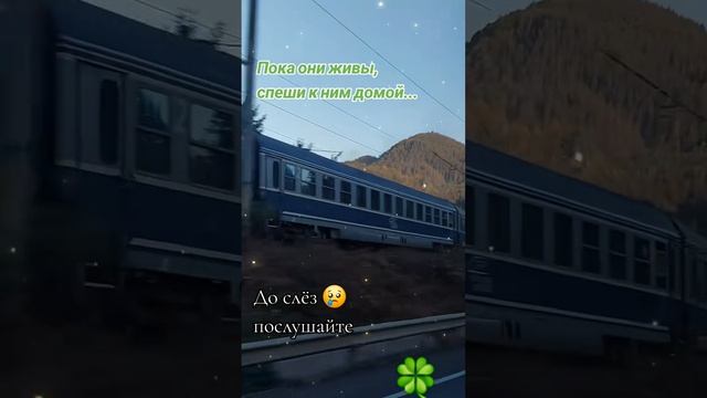 пока они живы , спеши к ним ...