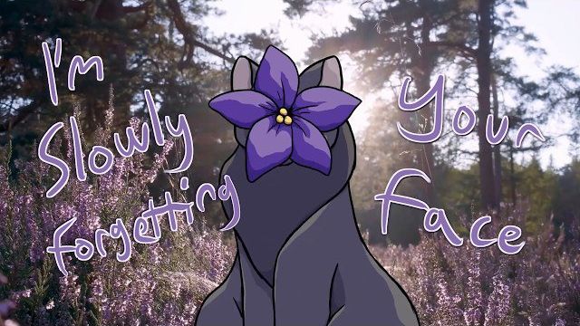 I'm Slowly Forgetting Your Face | CinderHolly AMV | Our Forgotten Memories Au(КОТЫ ВОИТЕЛИ АНИМАЦИЯ