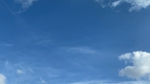 81211554527__2047BC54-C133-462A-ACEB-C4077E78B963