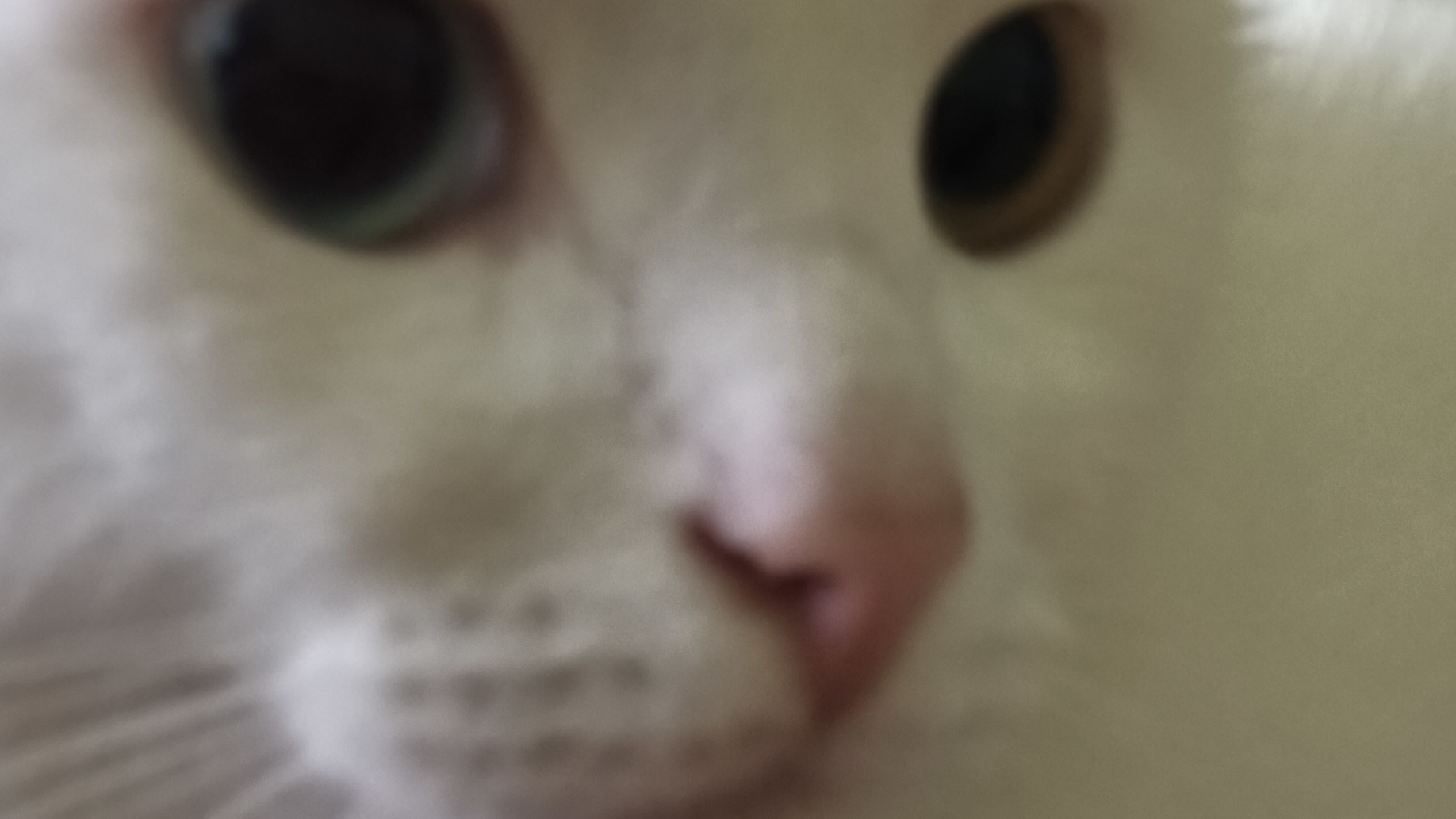 Эдит зефиркину