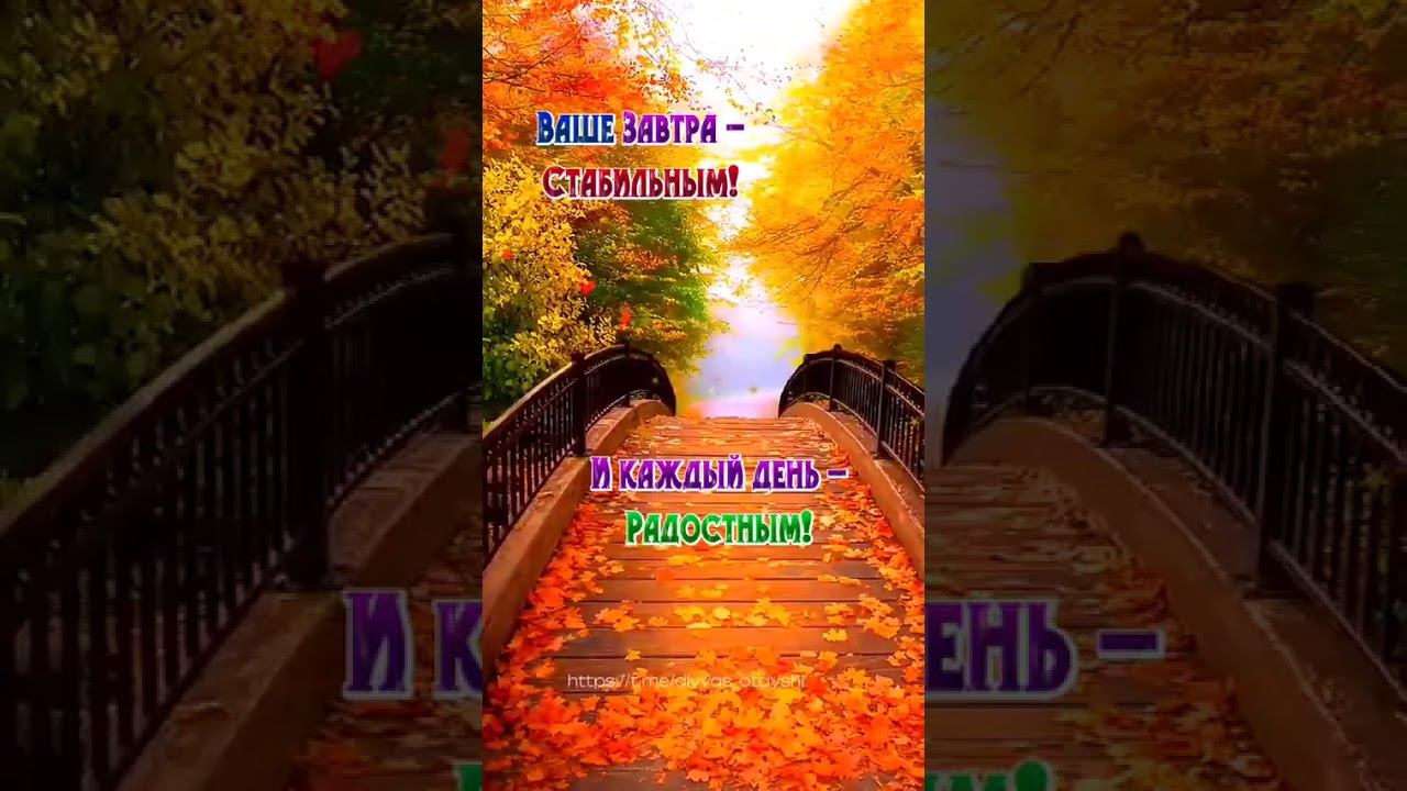 Доброго дня
