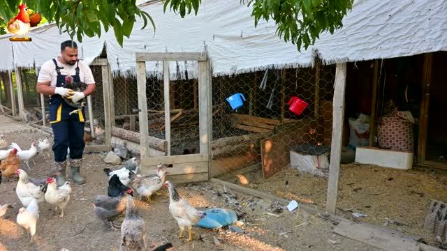 В гостях у Роберта гостили полчаса 25.09.2026 года - Спокойная и размеренныя жизнь с животными и пти