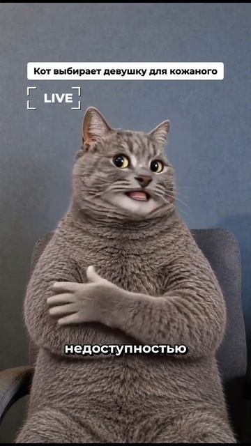 Лучший советчик 😂