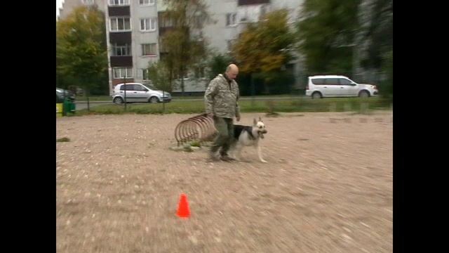 ПРК Посадский Страж Зетта