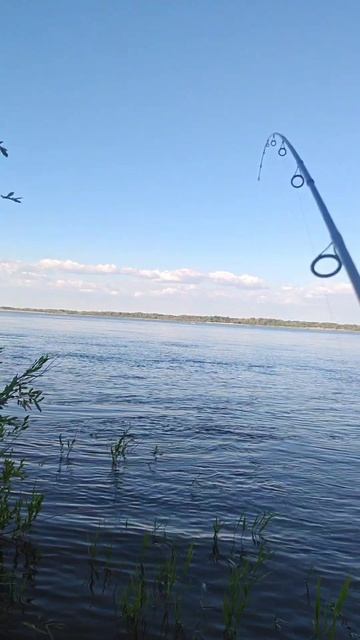 #рыбалка подпишитесь пожалуйста 🙏