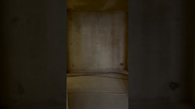 IMG_8136