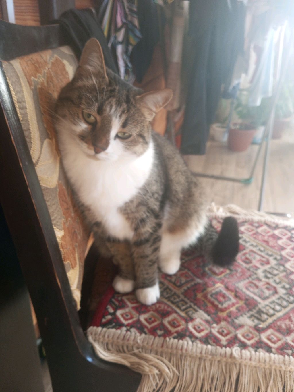 ор