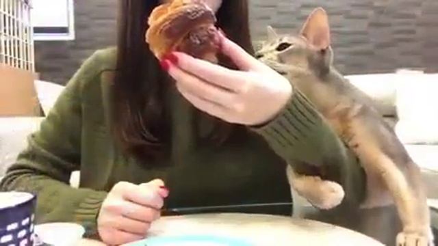 Жадина говядина пустая шоколадина..ну готовься....!😆