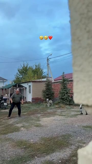 Терминатор 🤣🤖❤️ - ыыы  🐉