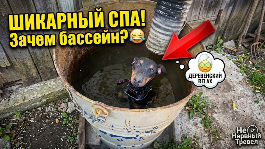 Ягдтерьеры Джессика и Тьма: Охота, дрессировка и жизнь 🐕
