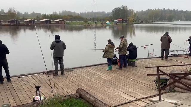 Начало зарыбления 600кг форели