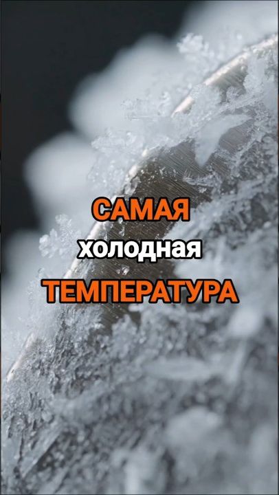 Абсолютный НОЛЬ ❄️ #Shorts