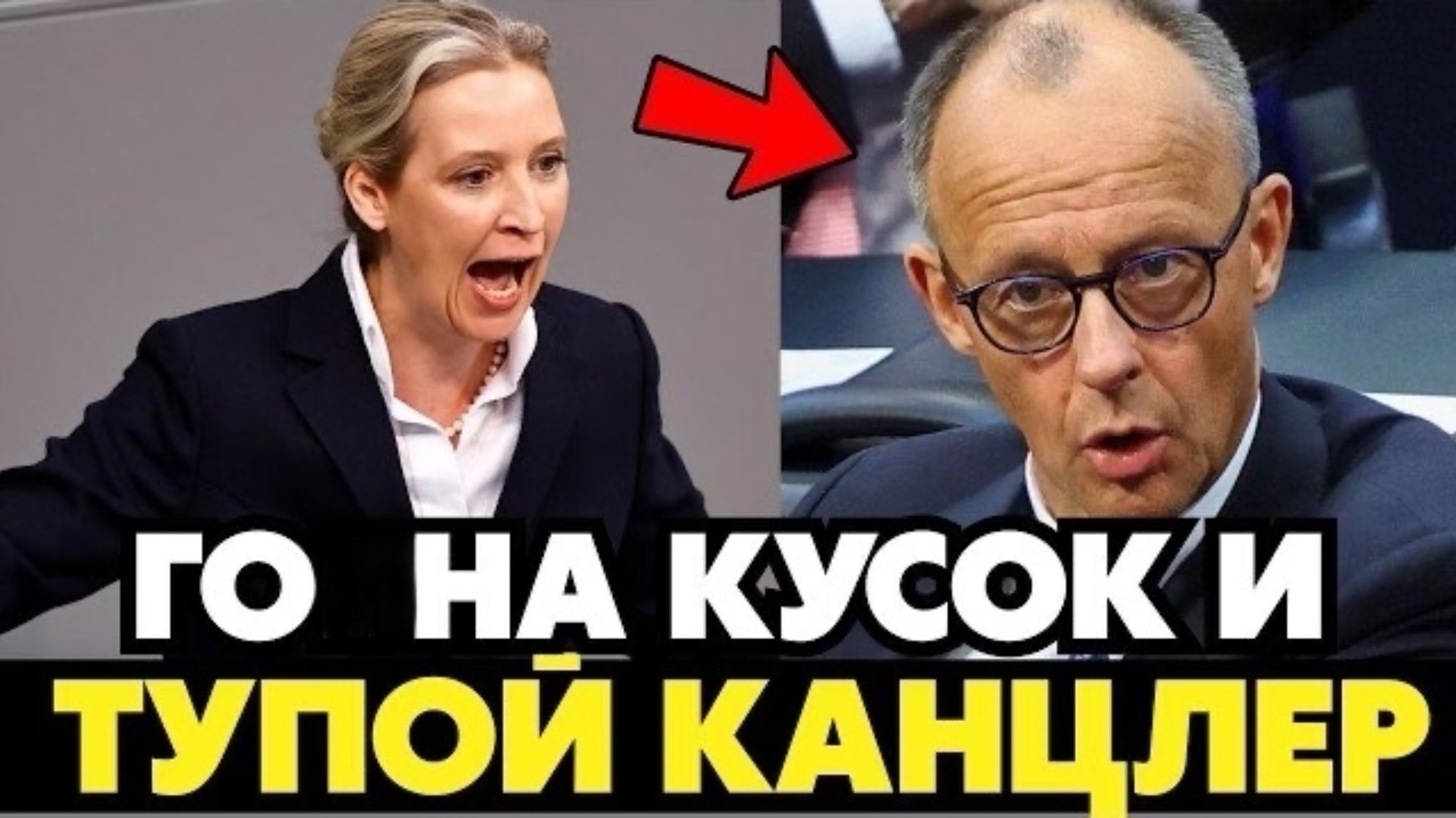 ВАЙДЕЛЬ РАЗНОСИТ В ЩЕПКИ КАНЦЛЕРА МЕРЦА! МОЩНАЯ РЕЧЬ ПОСЛЕ ПОБЕДЫ НА ВЫБОРАХ!