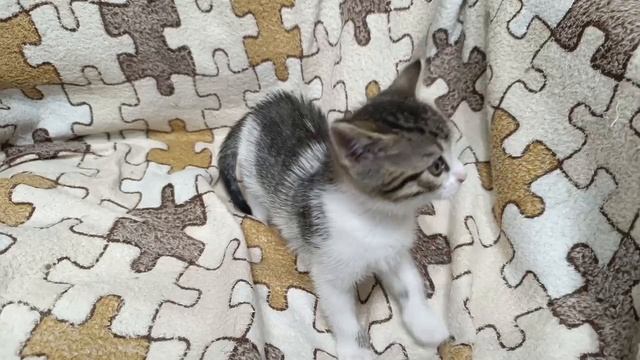 Малыш очень озорный и умненький. Он уже на брони, ждёт, когда родители приедут за ним😁💋😁