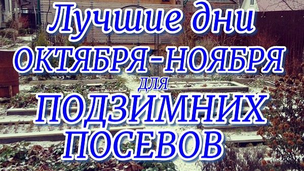 Лучшие дни ОКТЯБРЯ-НОЯБРЯ для ПОДЗИМНИХ ПОСЕВОВ