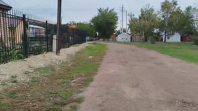 Вирус не обошёл и нас.