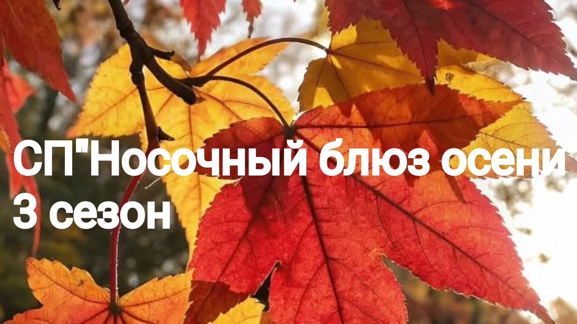 СП