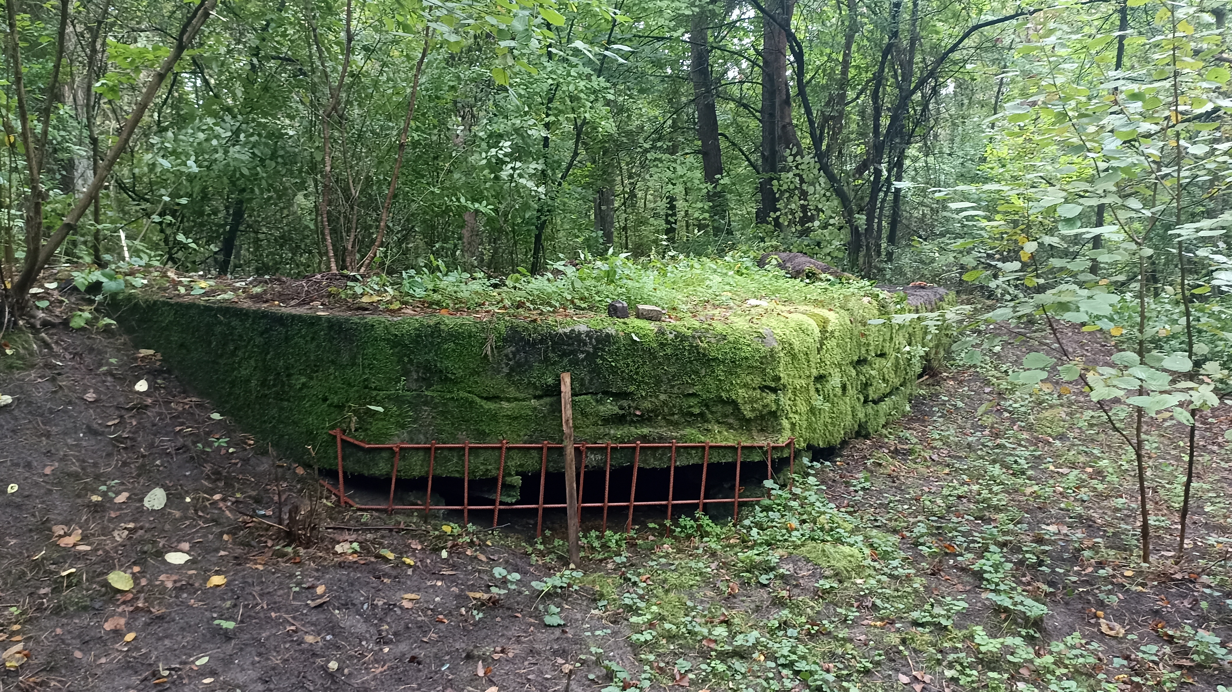 ДОТ в лесу Гродно. Небольшая очистка от порослей, кустов