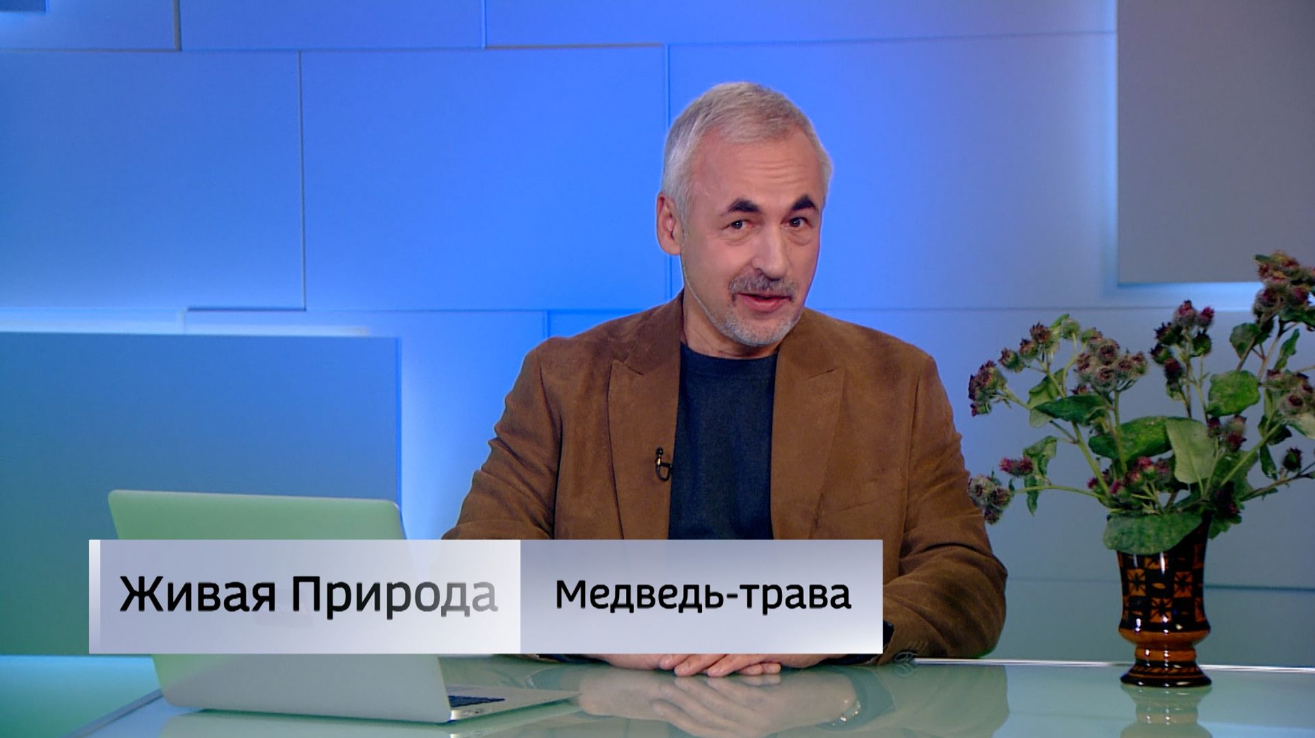 Живая природа. "Медведь-трава"