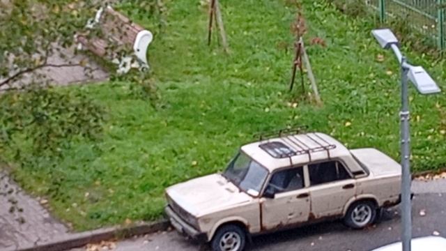 Мой двор
