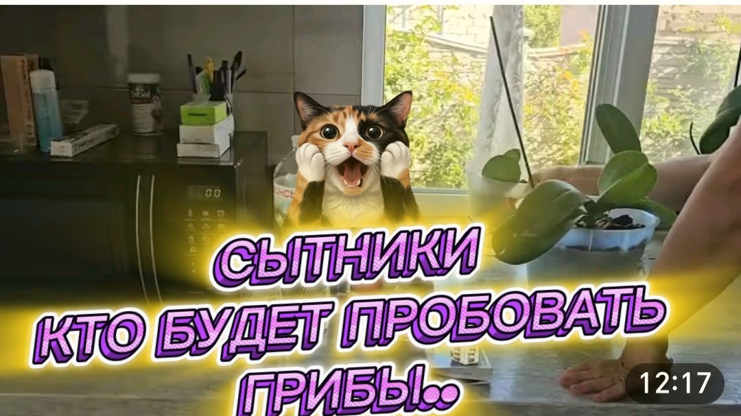 САМВЕЛ АДАМЯН, СЫТНИКИ, КТО БУДЕТ ПРОБОВАТЬ ГРИБЫ..