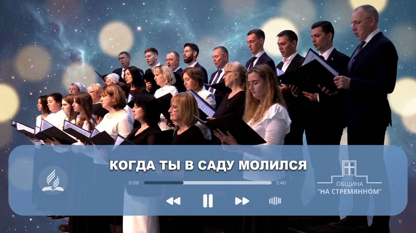 Видеозаписи