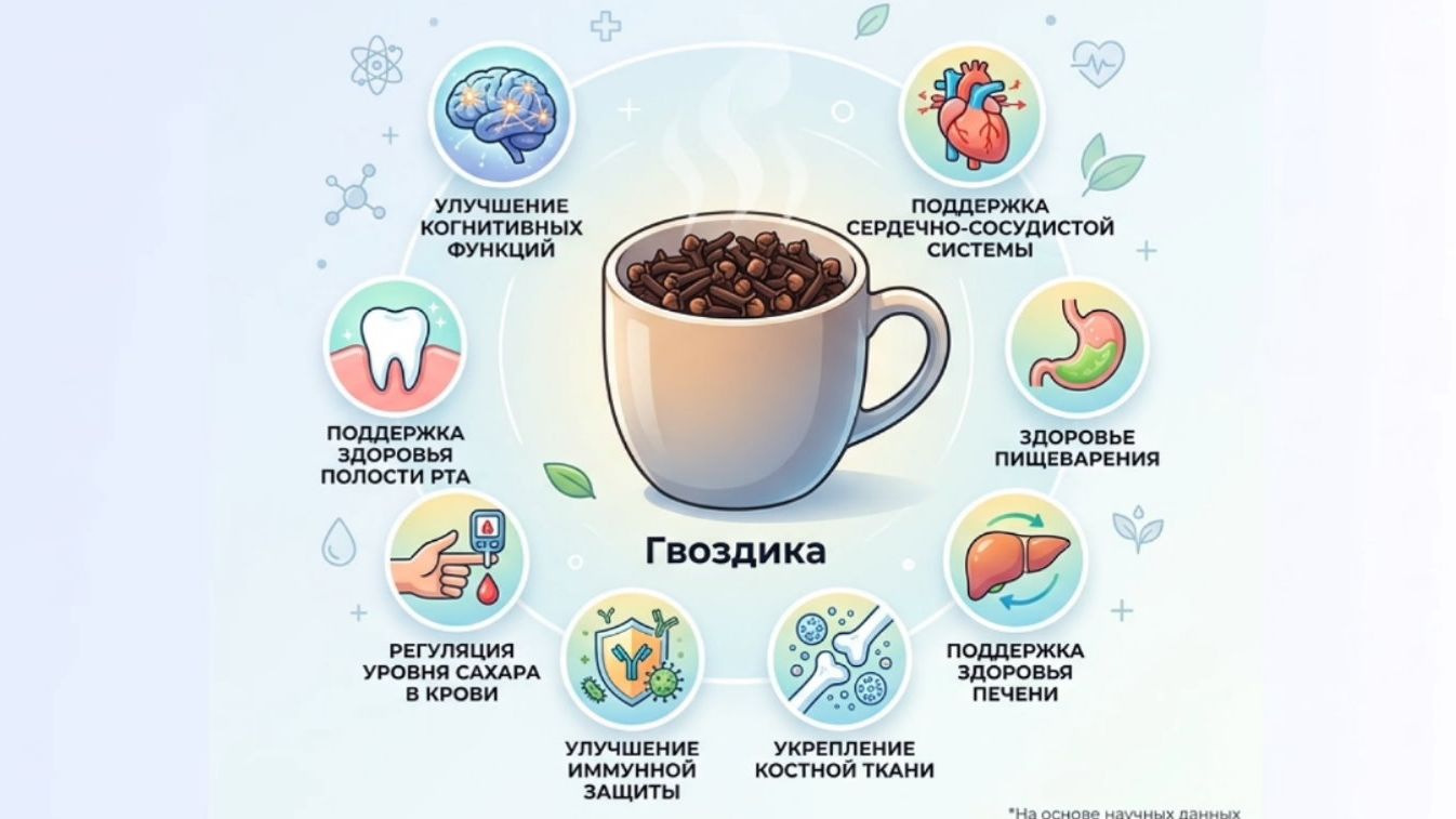ГВОЗДИКА НА НОЧЬ Что произойдёт с телом за 7 дней Реальная польза [get-save.com]