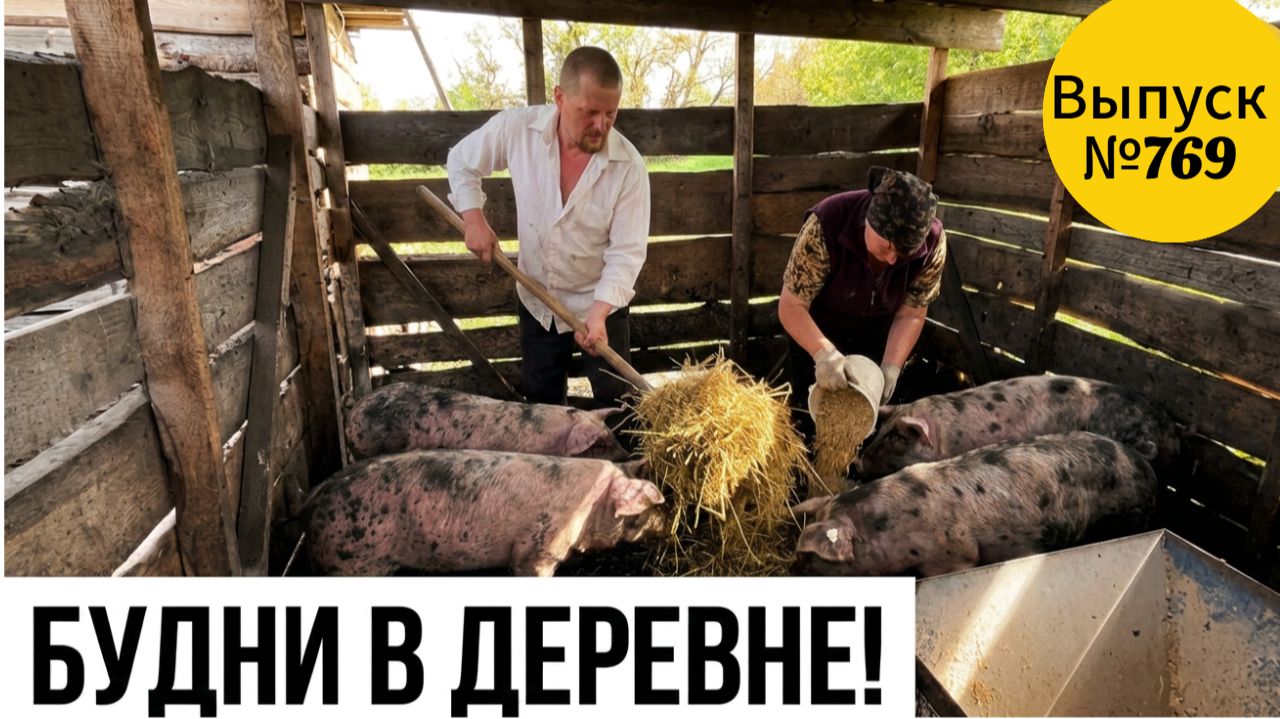 Выживание или счастье!? Как на самом деле живут в сибирской деревне.