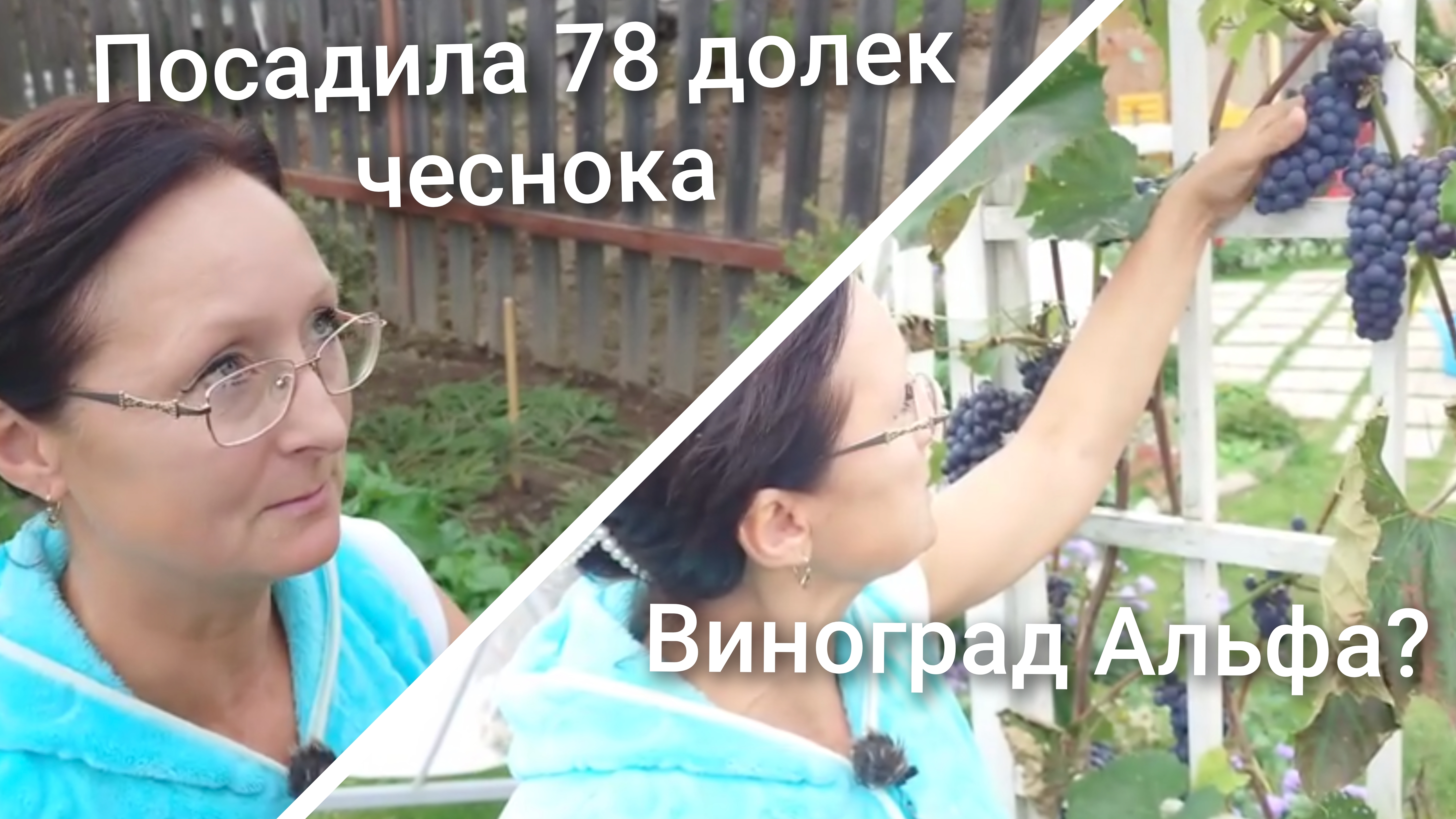 Видео привет с 6 соток 24 сентября 2026 года
