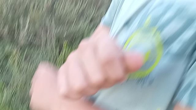 26-09-2026