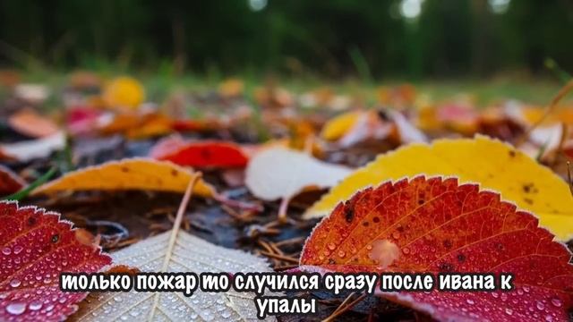 Истории из жизни _ Дом в деревне _