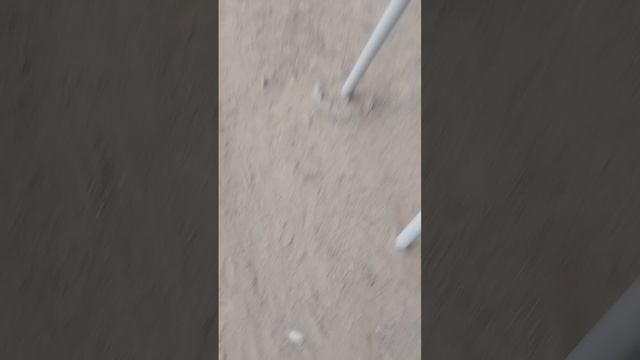 обзор на двор бабушки и дедушки