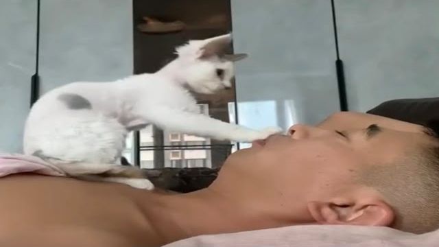 Смешные котики 😂 Подборка приколов с животными