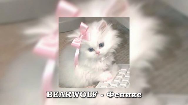 ПЛЕЙЛИСТ САМЫХ НОВЫХ ПОПУЛЯРНЫХ ТРЕКОВ ТИК ТОК | МАЙ 2026