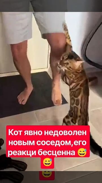 Теперь делить миску с другим 😅😅