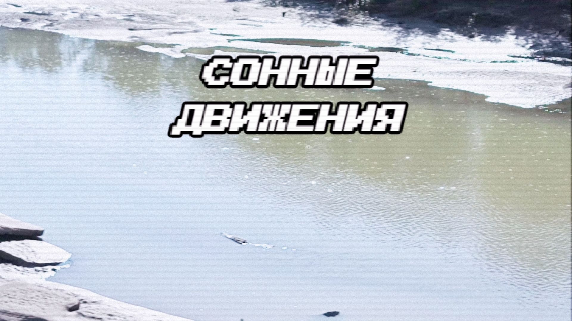 Сонные движения