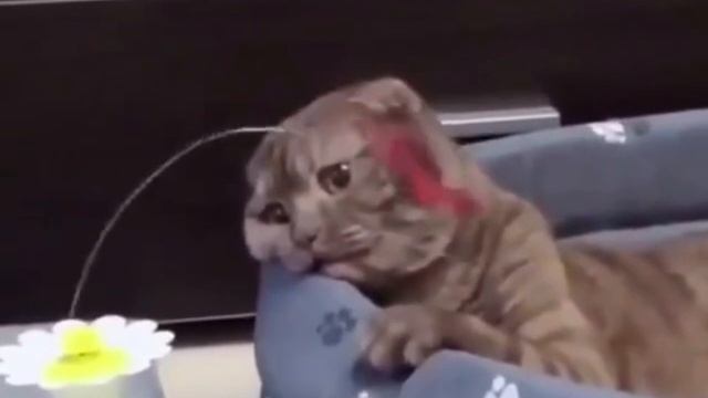 Состояние после трудной рабочей недели. Это же мы?