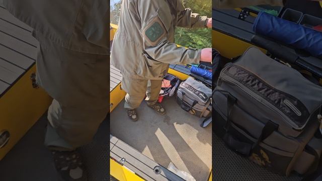 авто, мото