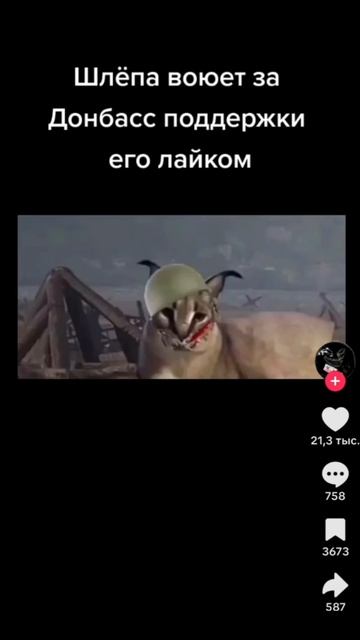 шляпа воюет за дамбас