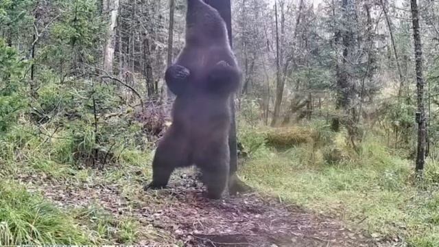 Простите, не удержались! 😄Ну как же без ламбады!!! 🎵